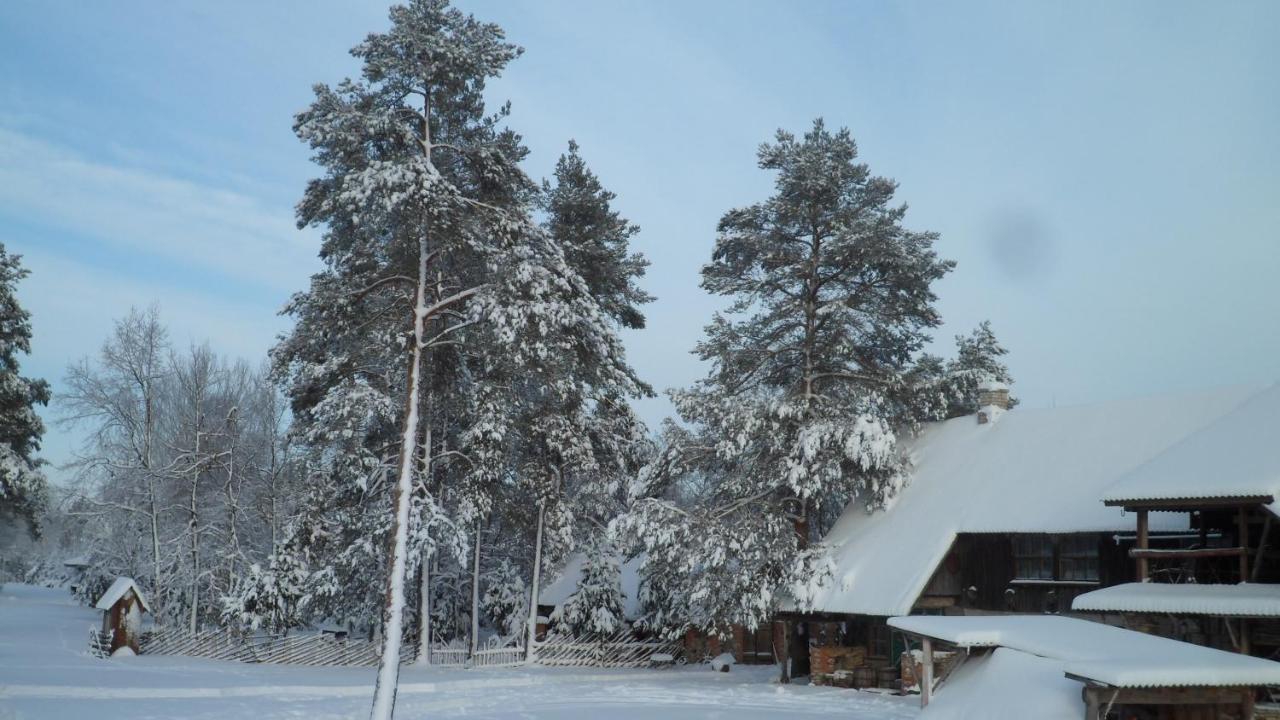 Viruna Farm Kiraste Dış mekan fotoğraf