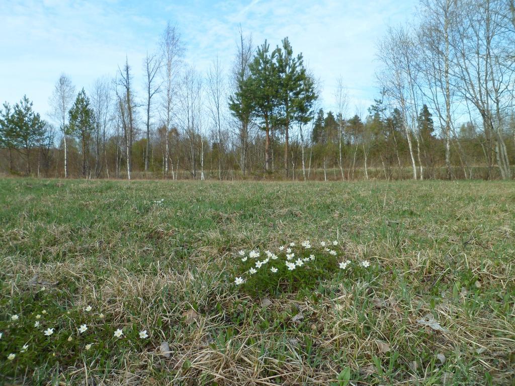 Viruna Farm Kiraste Dış mekan fotoğraf