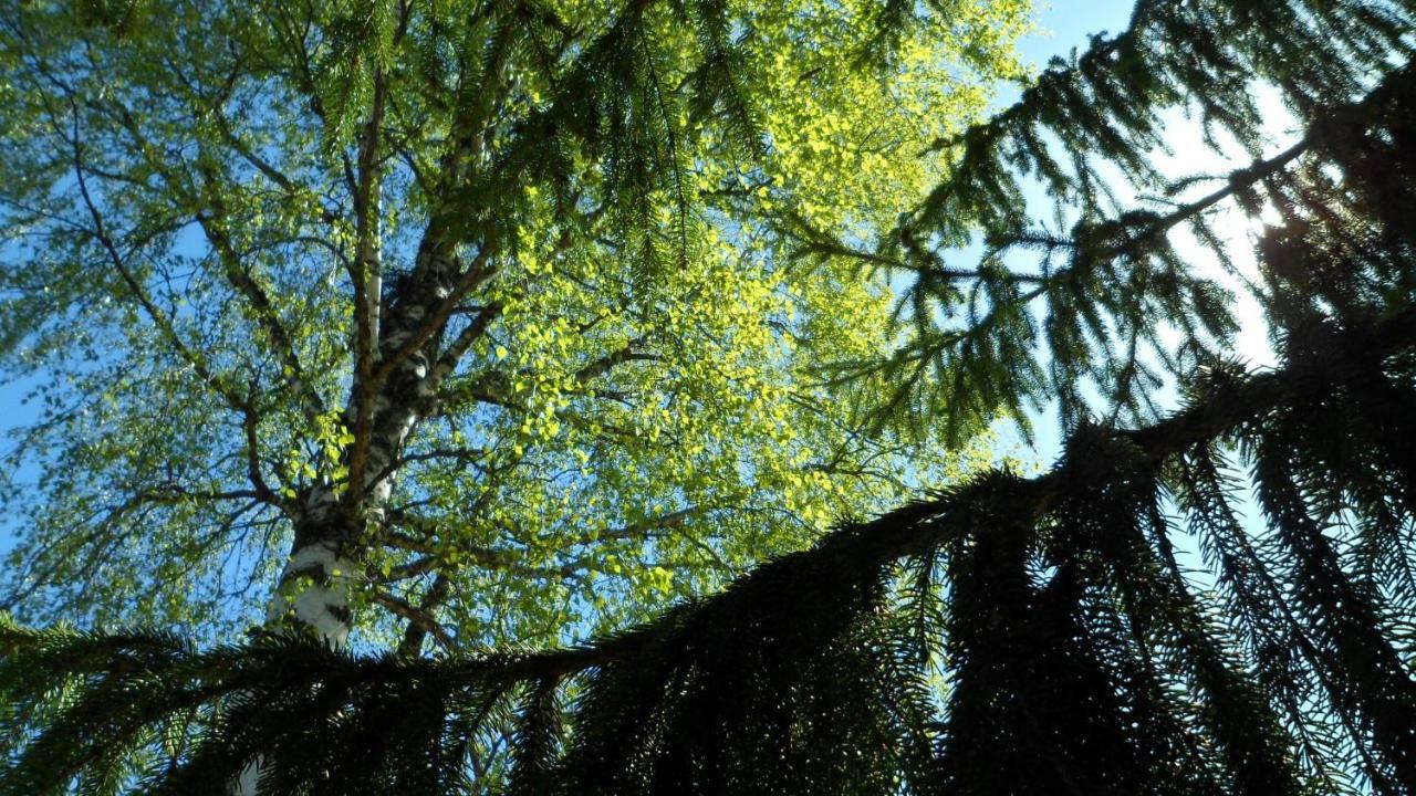 Viruna Farm Kiraste Dış mekan fotoğraf