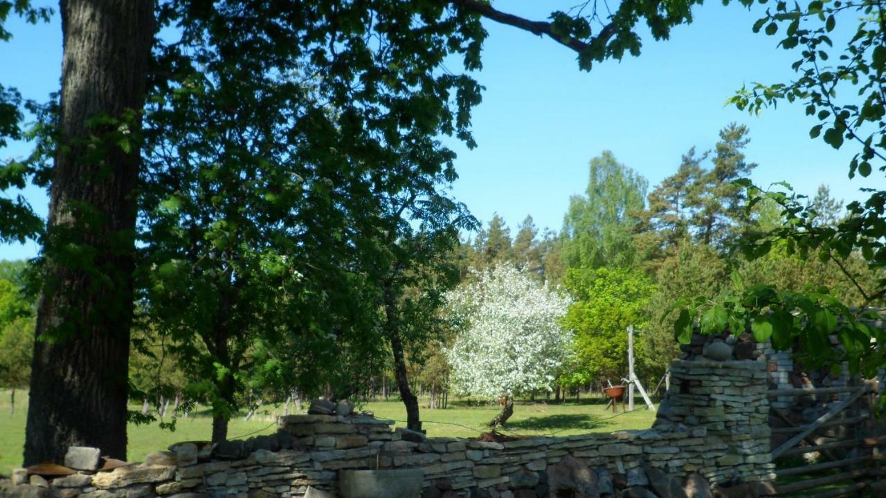 Viruna Farm Kiraste Dış mekan fotoğraf