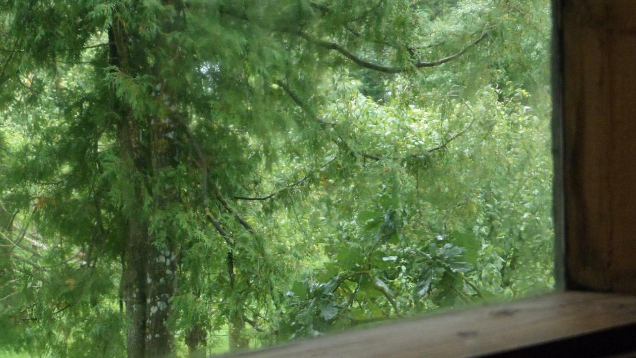 Viruna Farm Kiraste Dış mekan fotoğraf