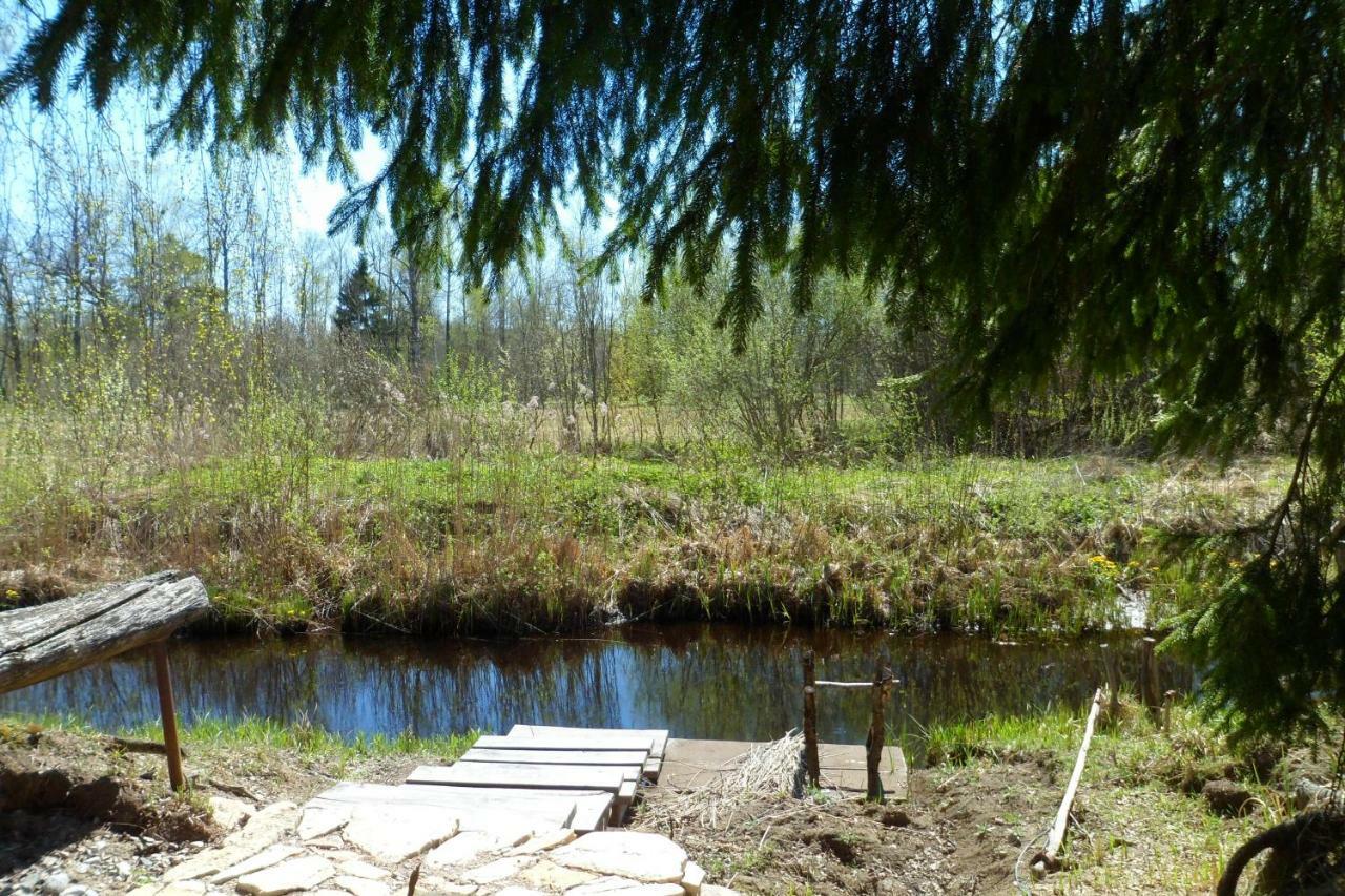 Viruna Farm Kiraste Dış mekan fotoğraf